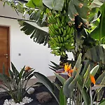 فيلة La Laguna لاجاريس